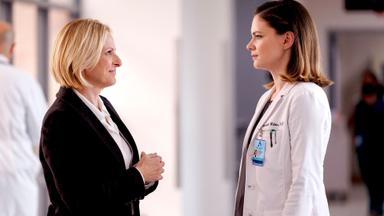 New Amsterdam 5x10