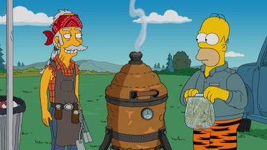 Los Simpson 27x2