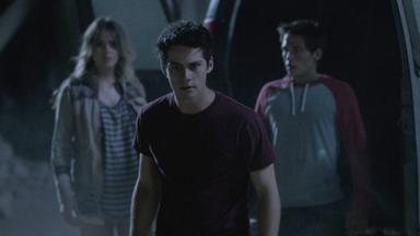 Lobo Adolescente 4x12