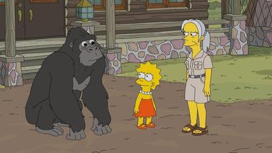 Los Simpson 31x5