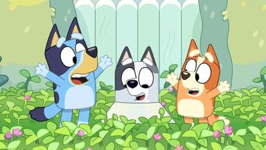 Bluey 2x43