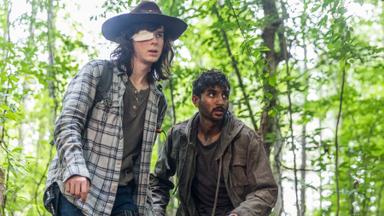 The Walking Dead 8x6
