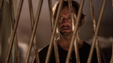 Colony 2x2
