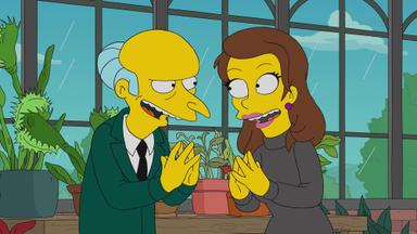Los Simpson 35x4