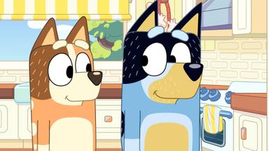 Bluey 3x7