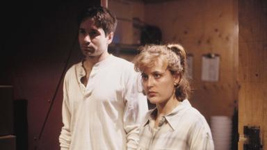 Los Expedientes Secretos X 1x8