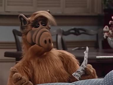 ALF 4x13