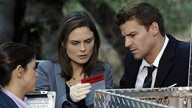 Bones 3x10