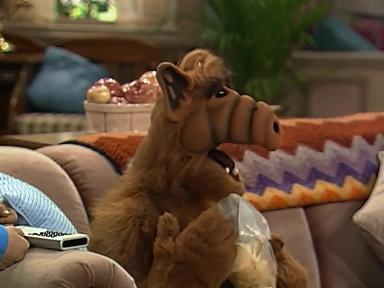 ALF 1x21