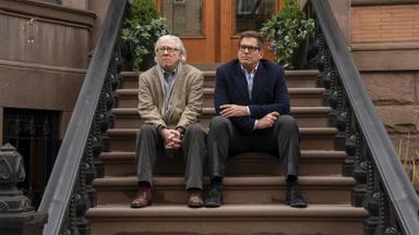 Bull 6x20
