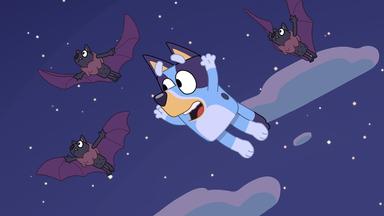 Bluey 1x8