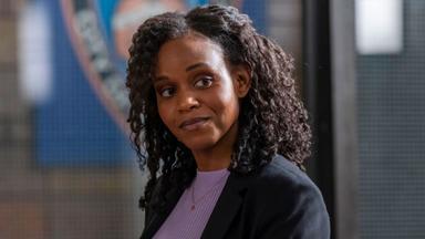 La Ley y el Orden: Unidad de Víctimas Especiales 25x8