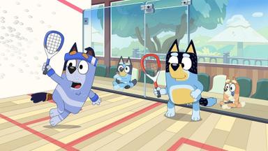 Bluey 2x4