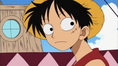 One Piece 1x8