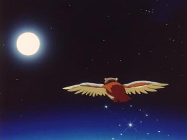 Pokémon 5x2