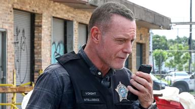 Policías de Chicago 12x2
