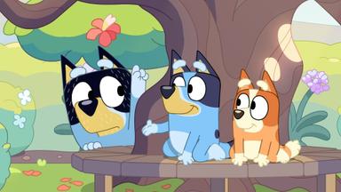 Bluey 3x6