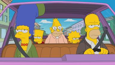 Los Simpson 29x5