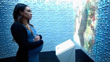 Flash 9x11