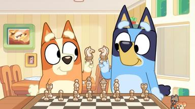 Bluey 3x11