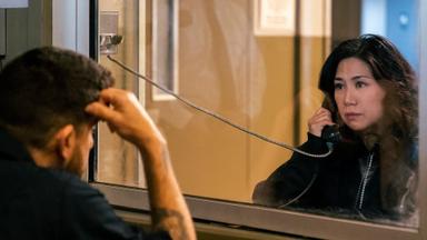 The Equalizer 2x8
