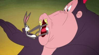 Looney Tunes Cartoons 5x3