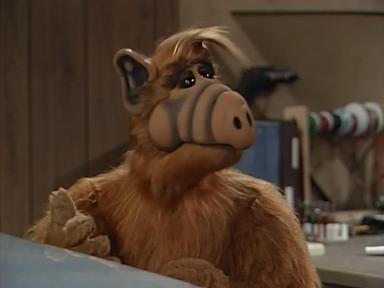 ALF 3x14