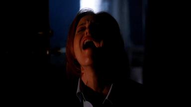 Los Expedientes Secretos X 8x14