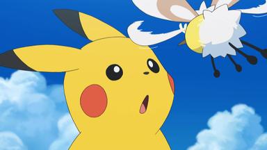 Pokémon 20x20