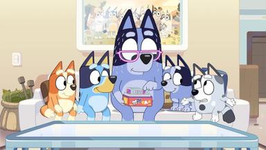 Bluey 2x11