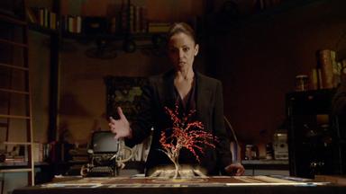 Continuum 3x1