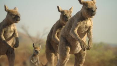 Planeta prehistórico 3x3