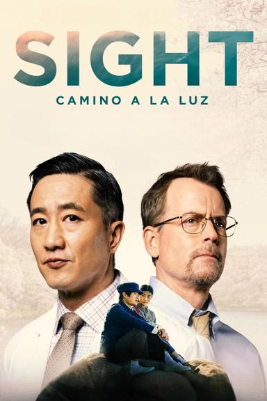 Sigth: Camino a la luz