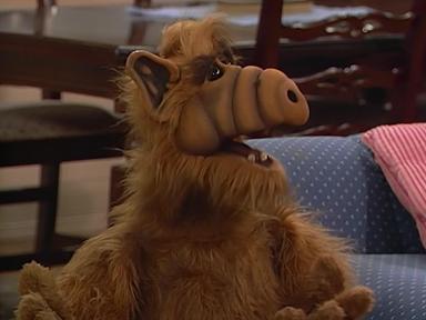 ALF 1x16