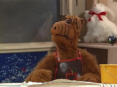 ALF 1x8