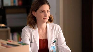 New Amsterdam 5x8