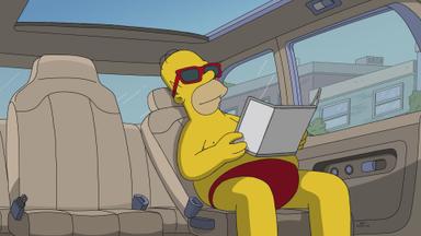 Los Simpson 30x5