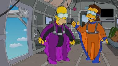 Los Simpson 25x4