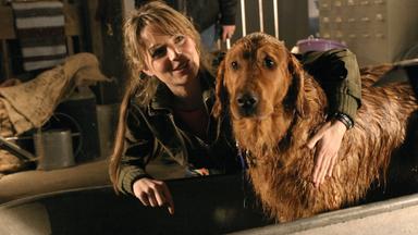 Smallville 4x14