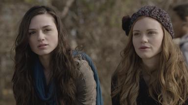 Lobo Adolescente 1x1