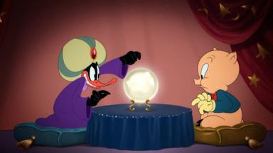 Looney Tunes Cartoons 3x5