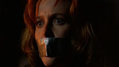 Los Expedientes Secretos X 2x24