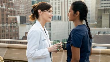 New Amsterdam 4x2