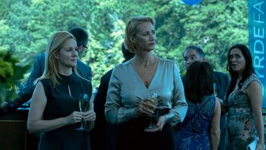 Ozark 3x8