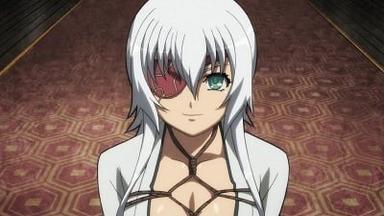 Hyakka Ryouran: Samurai Girls 2x4