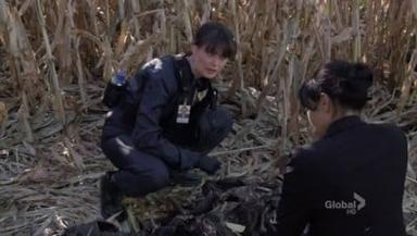 Bones 6x12