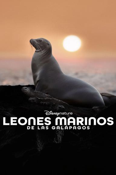 Leones Marinos de las Galápagos