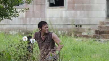 The Walking Dead 2x4