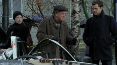 Fringe 3x17