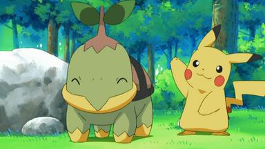 Pokémon 10x5